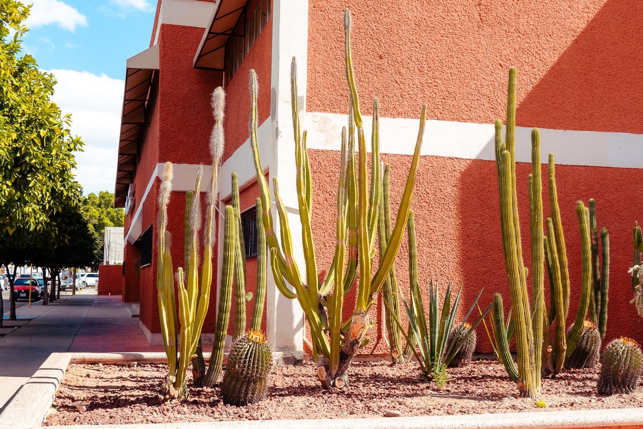 Department building exterior